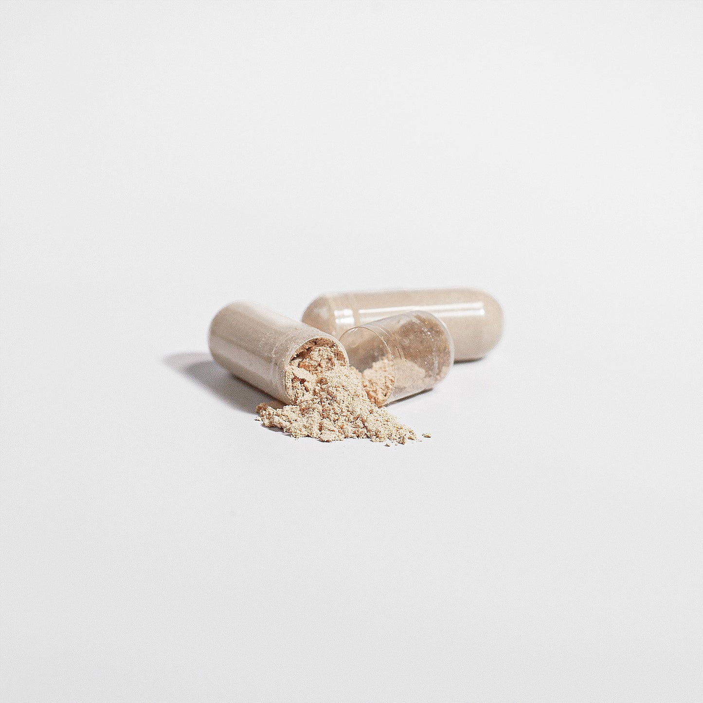 Lion's Mane Mushroom - PureVitaCare.com